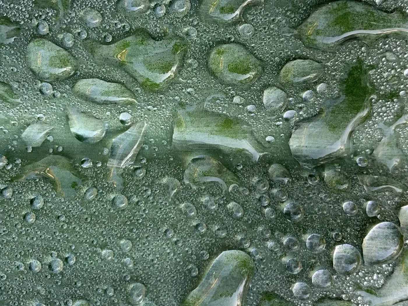 Green — Rainwater on a leaf
