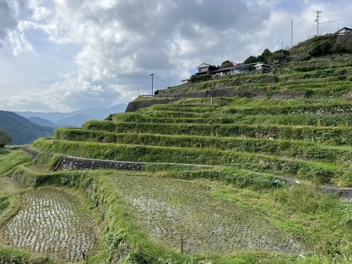 Terraced rice paddies with village above on hillside