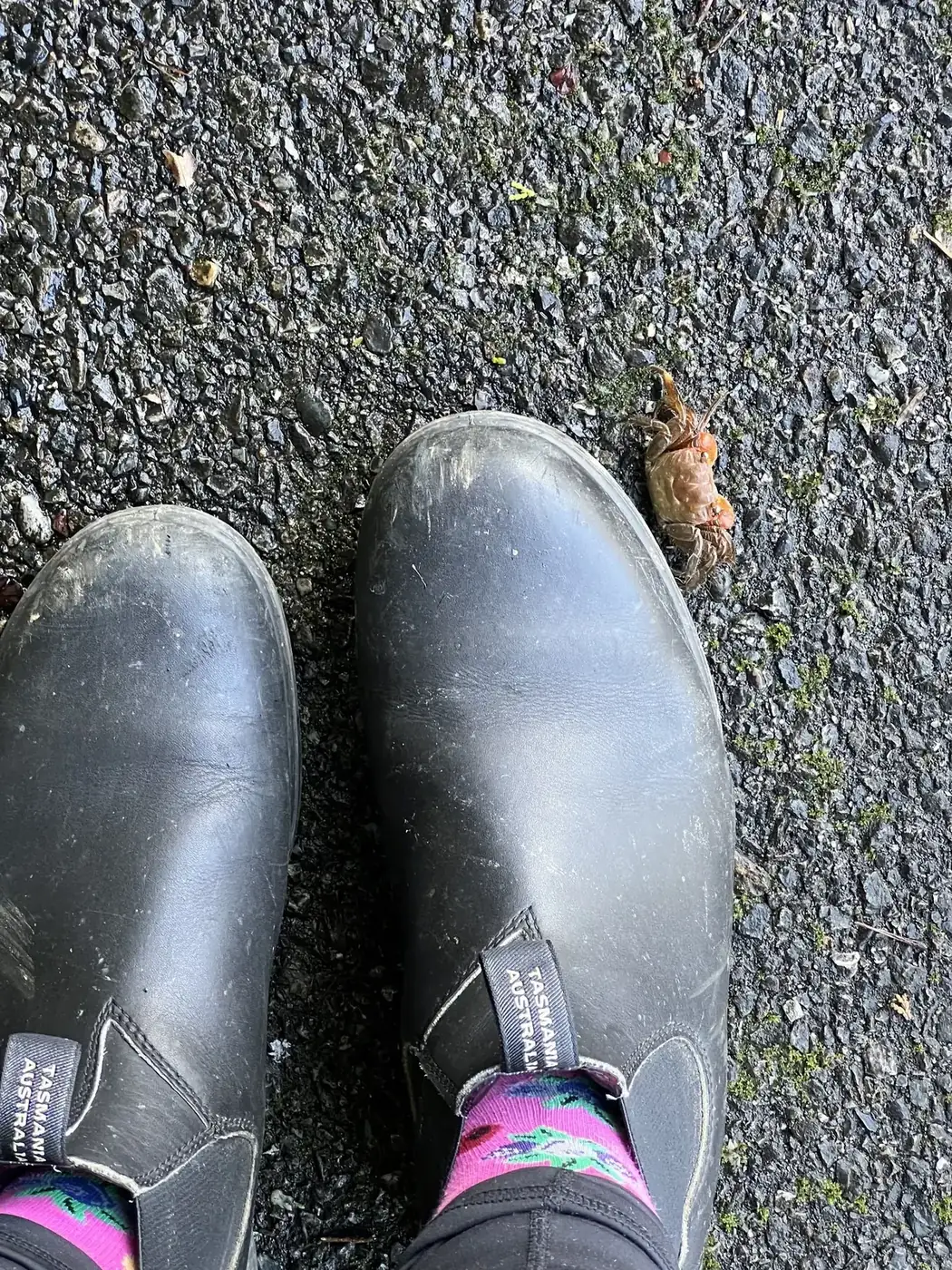 Boots on wet road, found form — Still Warm documentation