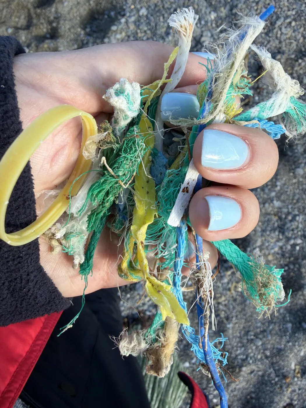 A hand holding collected shoreline plastic — net, filament, a cracked ring